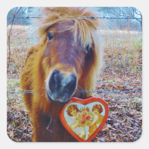 Valentine Heart  Horse Square Sticker