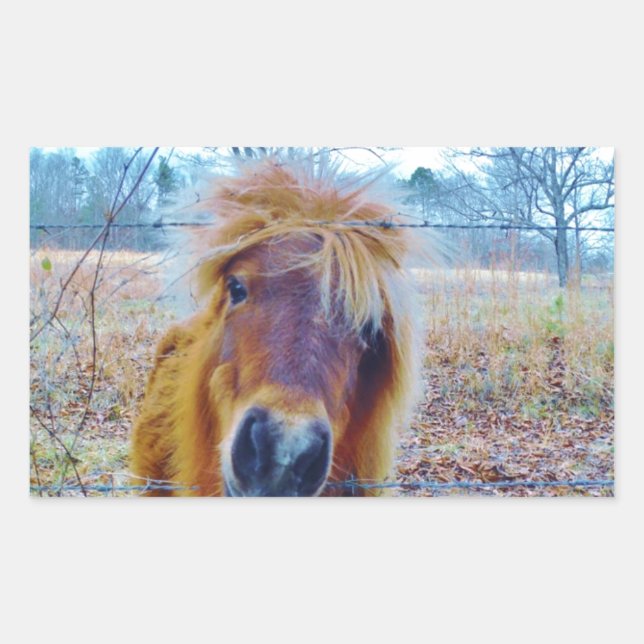 Valentine Heart  Horse Sticker (Front)