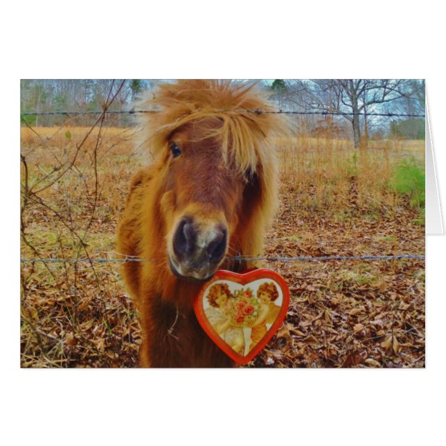 Valentine Heart Miniature Brown Horse (Devant horizontal)