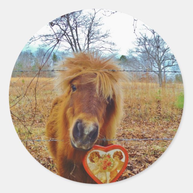 Valentine Heart  Miniature brown Horse Classic Round Sticker (Front)