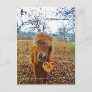 Valentine Heart  Miniature brown Horse Holiday Postcard