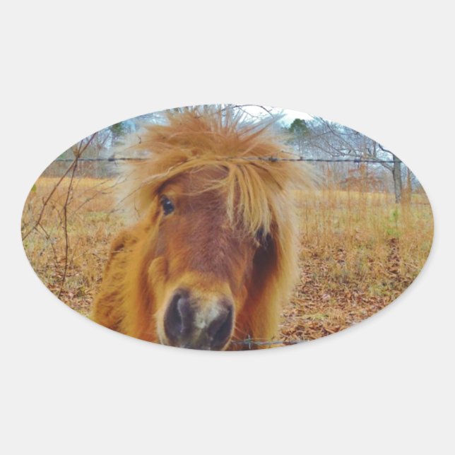 Valentine Heart  Miniature brown Horse Oval Sticker (Front)