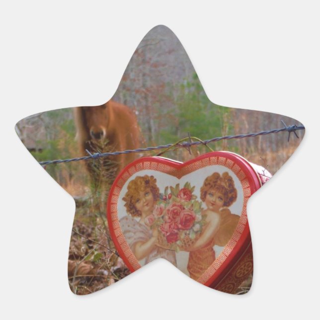 Valentine Heart  Miniature brown Horse Star Sticker (Front)