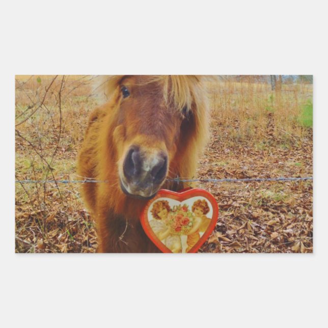 Valentine Heart  Miniature brown Horse Sticker (Front)