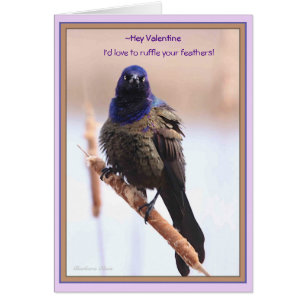 Valentine : J'adorerais frotter tes plumes