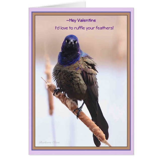 Valentine : J'adorerais frotter tes plumes (Devant)
