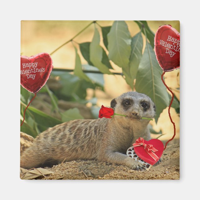 Valentine Meerkat Magnet (Front)