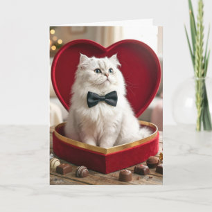 Valentine Persian Cat In Candy Box Card