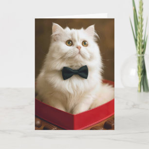 Valentine Persian Cat In Candy Box Card