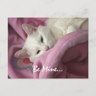 Valentine Post Card