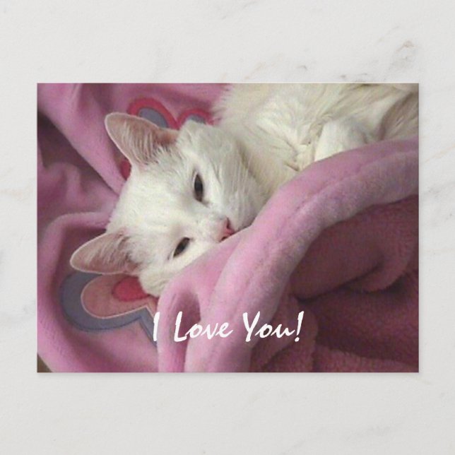 Valentine Post Card - Customized (Front)