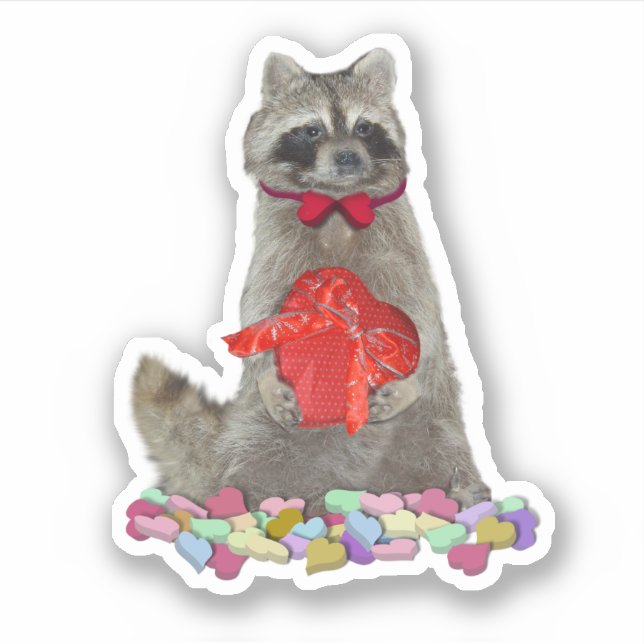 Valentine Raccoon Bandit (Front)