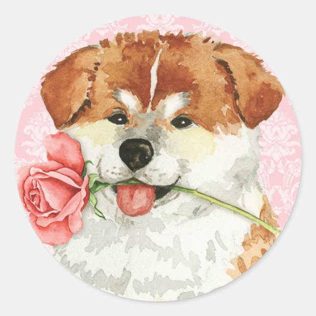 Valentine Rose Akita Classic Round Sticker (Front)