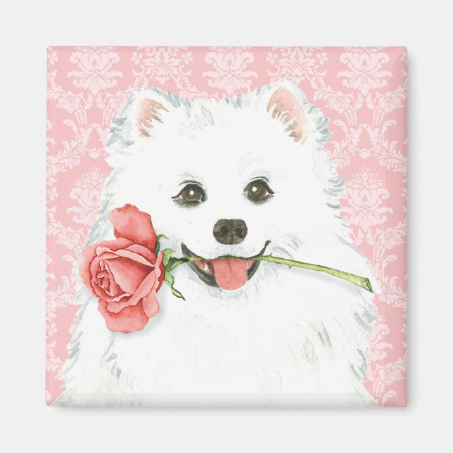 Valentine Rose American Eskimo Dog Magnet (Front)