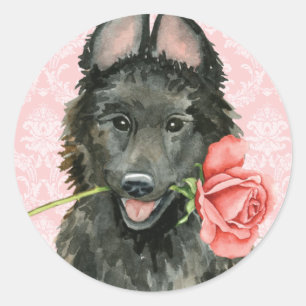 Valentine Rose Belgian Sheepdog Classic Round Sticker