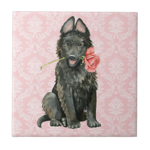 Valentine Rose Belgian Sheepdog Tile