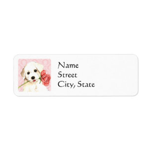Valentine Rose Bichon