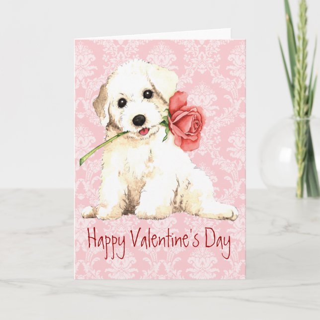 Valentine Rose Bichon Holiday Card (Front)