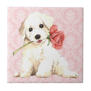 Valentine Rose Bichon Tile