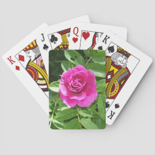 Valentine Rose Bicycle Playing Cards