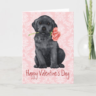 Valentine Rose Black Lab Holiday Card