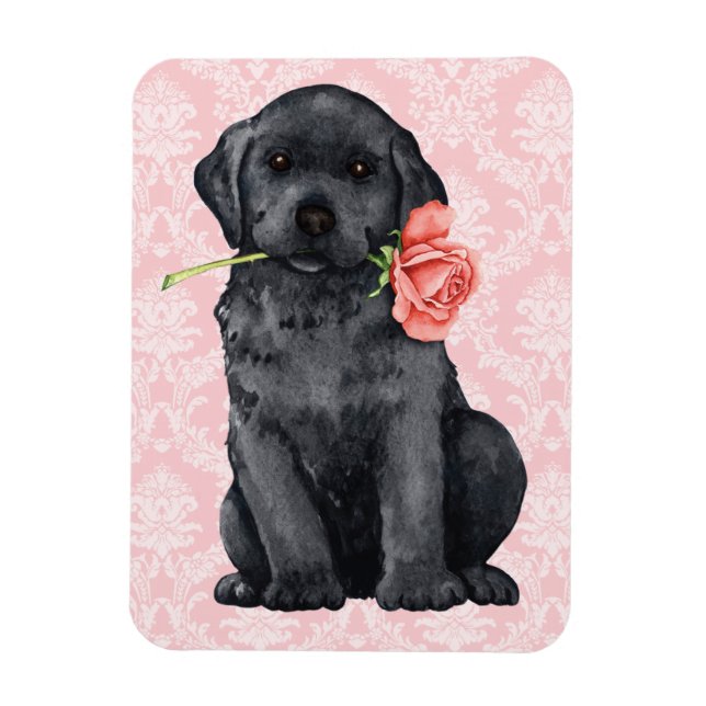 Valentine Rose Black Lab Magnet (Vertical)