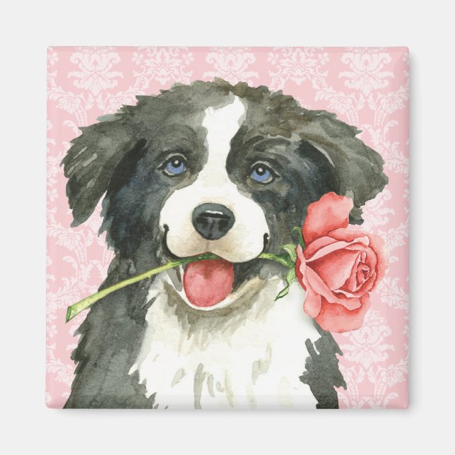 Valentine Rose Border Collie Magnet (Front)