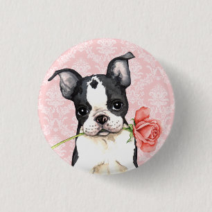 Valentine Rose Boston Terrier 1 Inch Round Button
