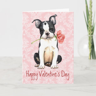 Valentine Rose Boston Terrier Holiday Card