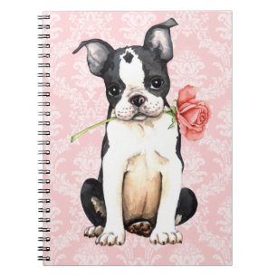 Valentine Rose Boston Terrier Notebook