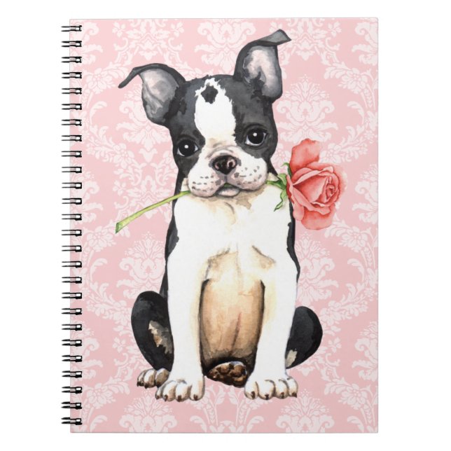 Valentine Rose Boston Terrier Notebook (Front)