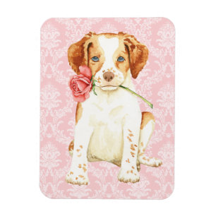 Valentine Rose Brittany Magnet