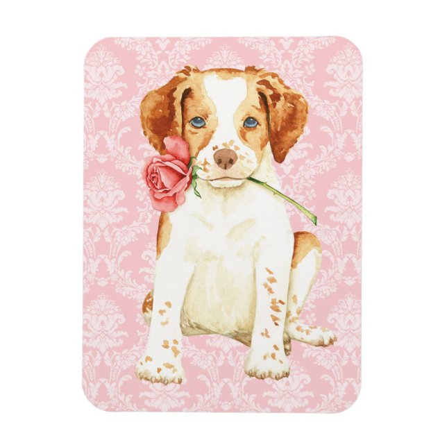 Valentine Rose Brittany Magnet (Vertical)