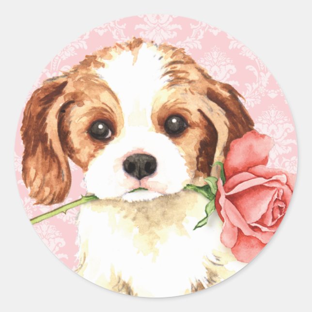 Valentine Rose Cavalier Classic Round Sticker (Front)