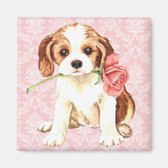 Valentine Rose Cavalier Magnet (Front)
