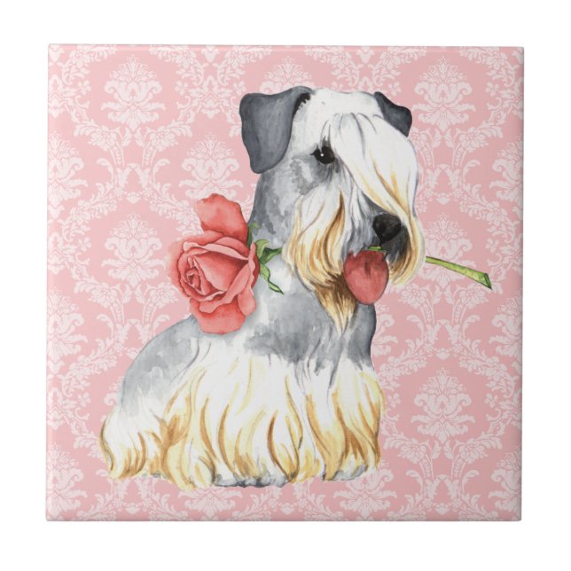Valentine Rose Cesky Terrier Tile (Front)