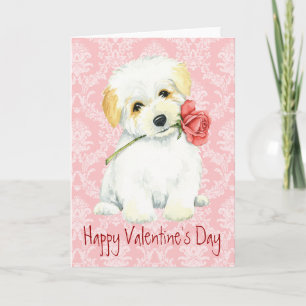 Valentine Rose Coton de Tulear Holiday Card