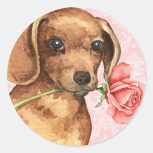 Valentine Rose Dachshund Classic Round Sticker