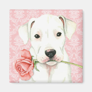 Valentine Rose Dogo Magnet