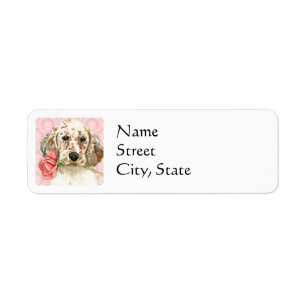 Valentine Rose English Setter