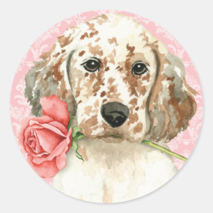 Valentine Rose English Setter Classic Round Sticker