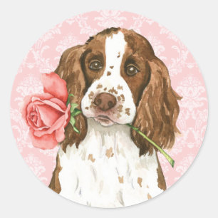 Valentine Rose English Springer Classic Round Sticker