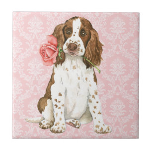 Valentine Rose English Springer Tile