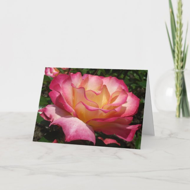 Valentine Rose Holiday Card (Front)
