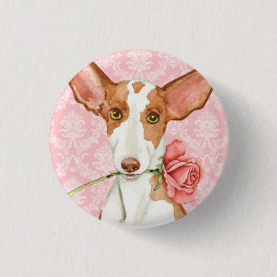 Valentine Rose Ibizan Hound 1 Inch Round Button