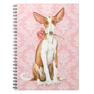 Valentine Rose Ibizan Hound Notebook