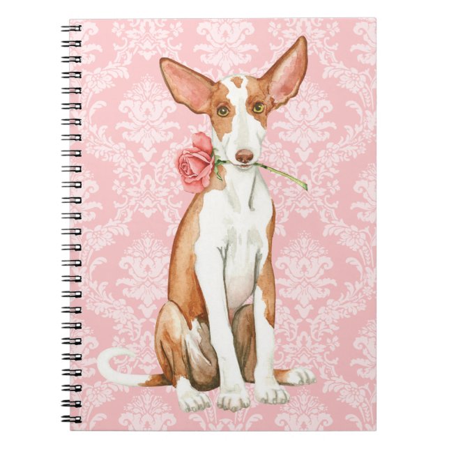 Valentine Rose Ibizan Hound Notebook (Front)