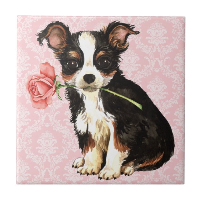 Valentine Rose Long Coat Chihuahua Tile (Front)