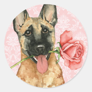Valentine Rose Malinois Classic Round Sticker