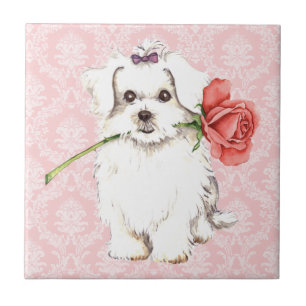 Valentine Rose Maltese Tile